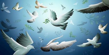 Dünya Barış Günü